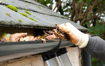 gutter cleaning Sytch Ho Green, Shropshire